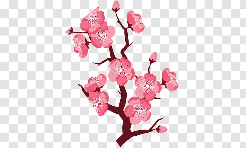 Floral Design Cartoon Peach - Hand Painted Transparent PNG