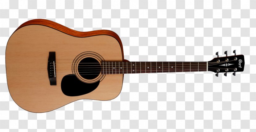 Steel-string Acoustic Guitar Cort Guitars Dreadnought - Cartoon Transparent PNG
