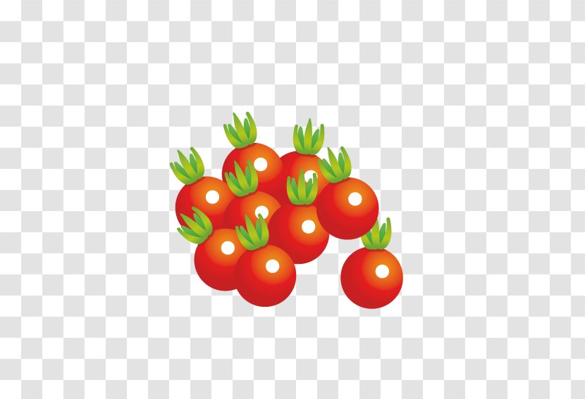 Juice Cherry Tomato Vegetarian Cuisine Vegetable Fruit - Fresh Tomatoes Transparent PNG