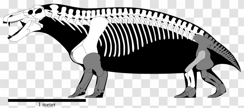 Tyrannosaurus Yutyrannus Dinosaur Australovenator Megaraptor - Pet Transparent PNG