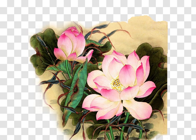 Nelumbo Nucifera Chinoiserie Wallpaper - Flower Bouquet - Floating Lotus Transparent PNG