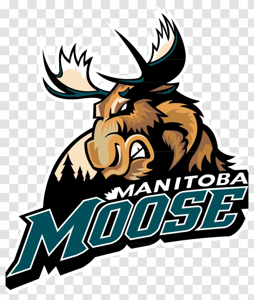 Manitoba Moose American Hockey League Winnipeg Jets Minnesota Vancouver Canucks - Sport Transparent PNG
