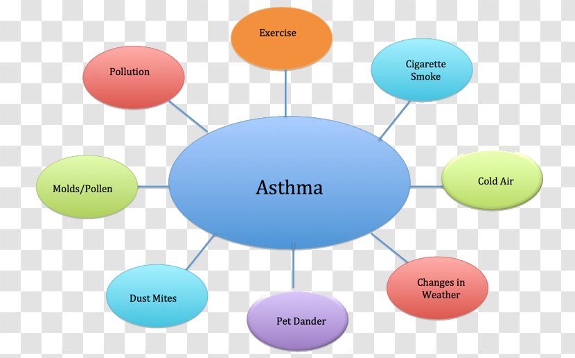 Asthma Symptom Therapy Inflammation Patton Pharmacy - Mucus Transparent PNG