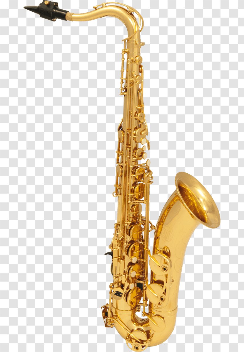 Henri Selmer Paris Tenor Saxophone Reference 54 Alto - Frame - Saxophones Transparent PNG