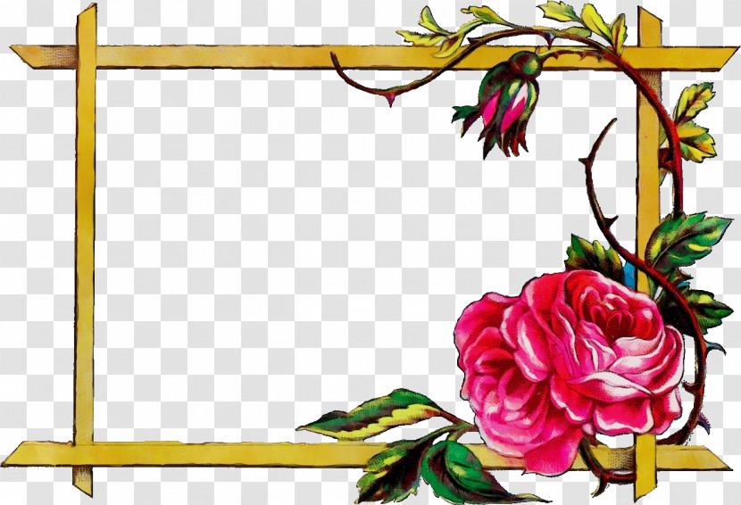 Picture Frame Transparent PNG