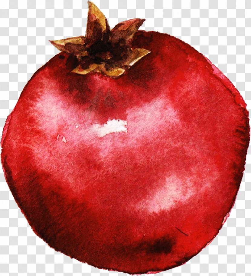 Pomegranate Juice Kiwifruit Watercolor Painting Illustration - Apple - Purple Transparent PNG
