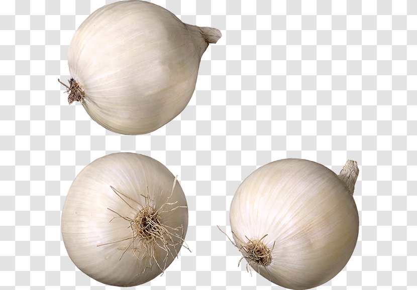 Pearl Onion Garlic Cooking Red Eating - White Transparent PNG