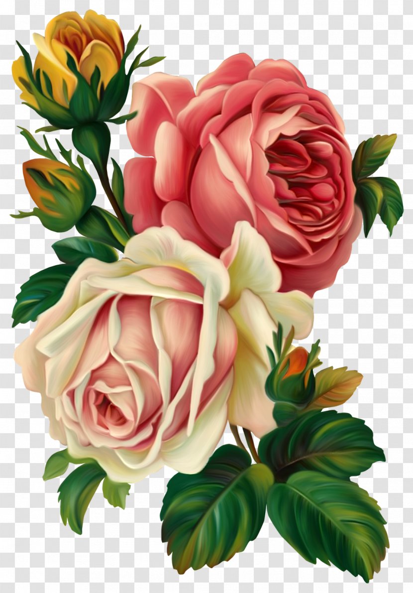 Rose Flower Vintage Clothing Pink Clip Art - Family - Painted Flowers Transparent PNG