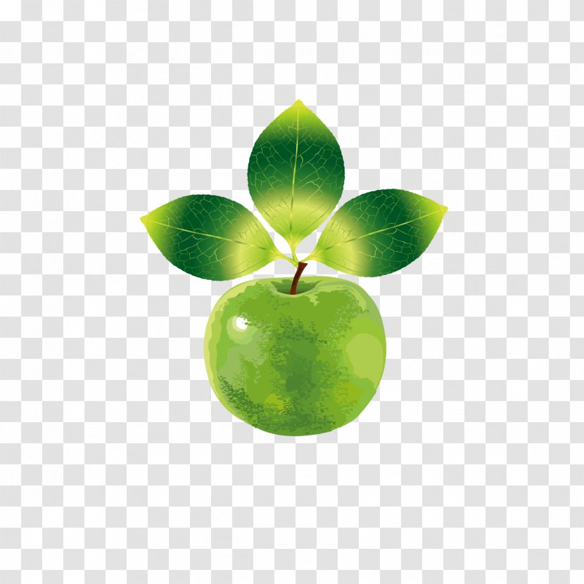 Fruit Apple Clip Art - Logo - Creative Green Transparent PNG