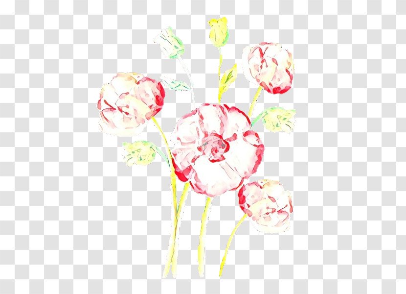 Pink Cut Flowers Flower Plant Pedicel - Wildflower Stem Transparent PNG