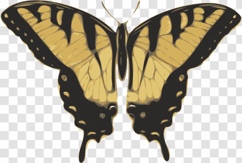 Butterfly Insect Clip Art Transparent PNG