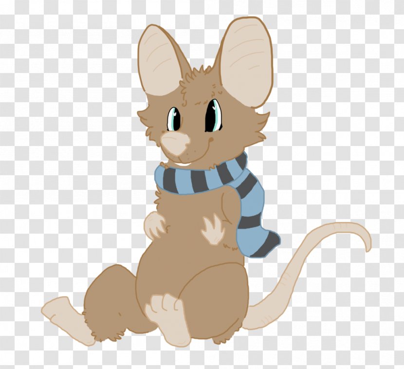 Mouse Rat Whiskers Macropodidae Cat - Wildlife Transparent PNG