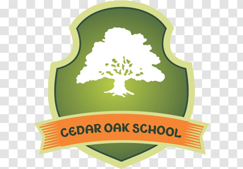 Cedar Oak School Gingins Child Business Learning - Logo Transparent PNG