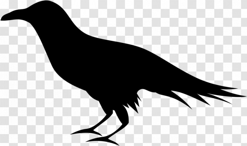 Bird Silhouette - Raven - Crowlike Beak Transparent PNG
