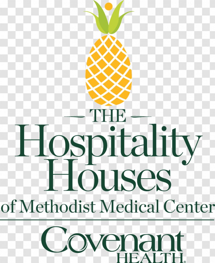 Methodist Medical Center Of Oak Ridge Covenant Health Patient Hospital Transparent PNG