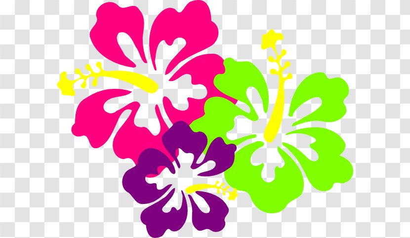 Hibiscus Drawing Clip Art - Royaltyfree - Polynesian Cliparts Transparent PNG
