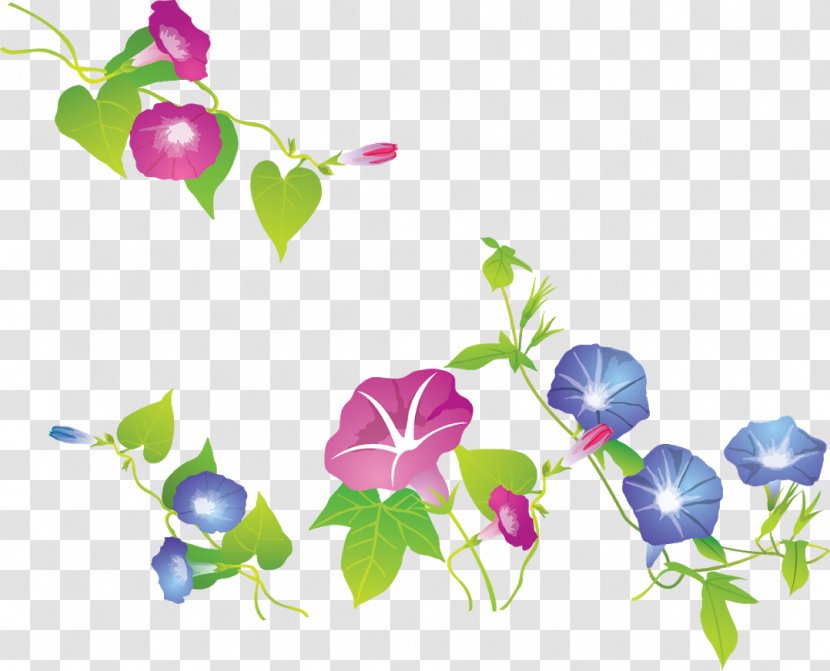 Japanese Morning Glory Common Morning-glory Flower Clip Art - Rose Family Transparent PNG
