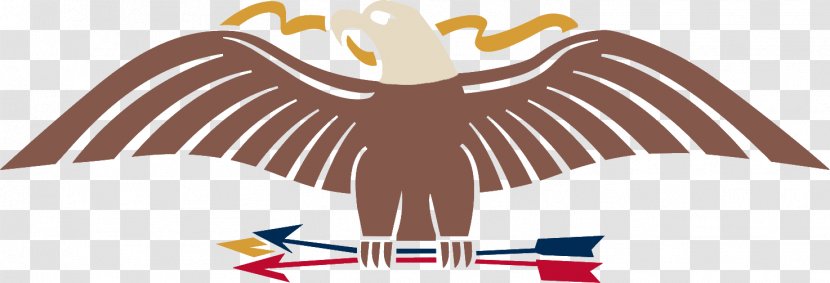 Eagle Logo Beak Clip Art - Bird Of Prey Transparent PNG