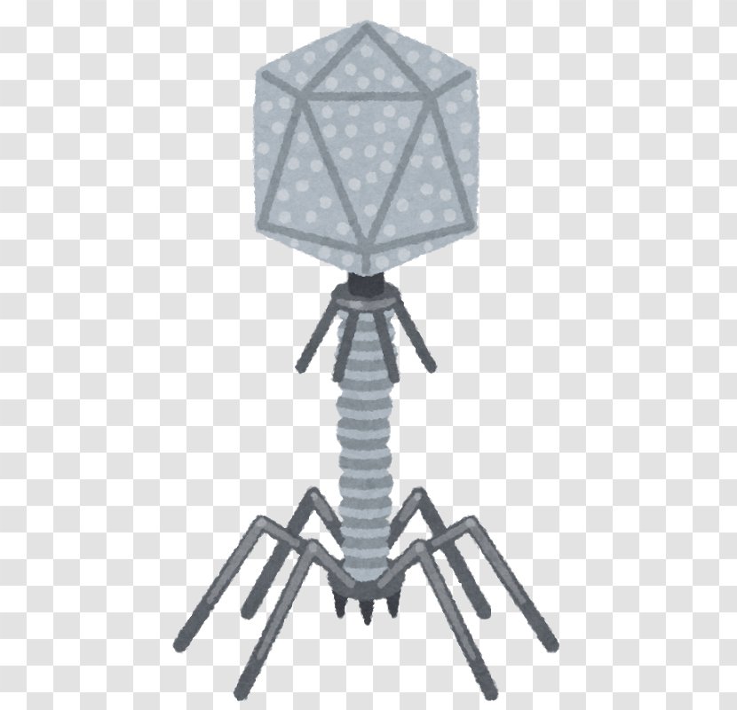 Bacteriophage いらすとや Bacteria バーチャルyoutuber Phage Transparent Png