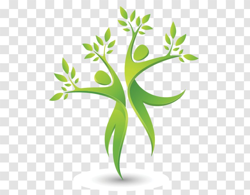 Environmental Protection Natural Environment Clip Art - Plant Stem Transparent PNG