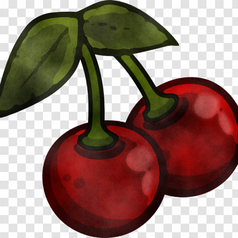 Cherry Plant Leaf Tree Fruit Transparent PNG
