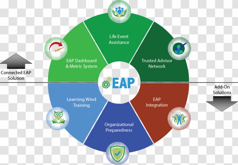 Color Wheel Theory Human Hair Scheme - Harmony - Employers' Organization Transparent PNG