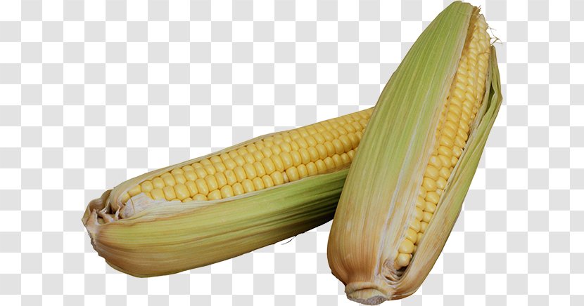 Corn On The Cob Sweet Maize Cereal Fastiv - Food - Commodity Transparent PNG