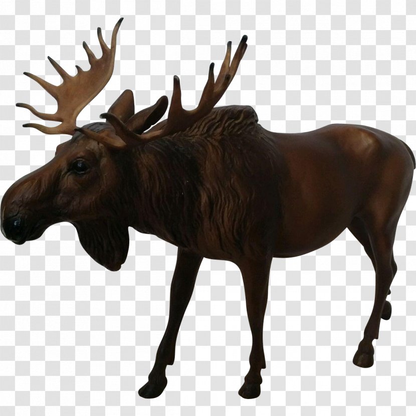 Moose Reindeer Cattle Antler Mammal - Wildlife Transparent PNG