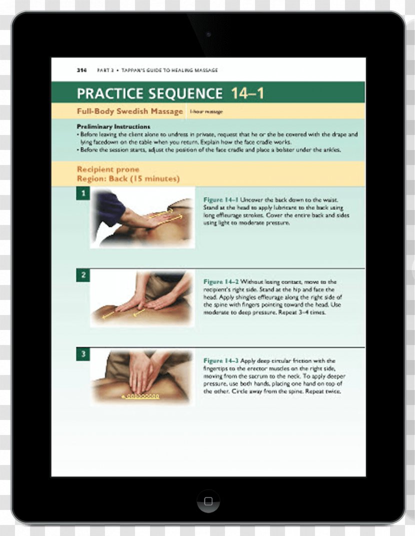 Education Study Skills Test Pearson - Therapy - Massage Transparent PNG