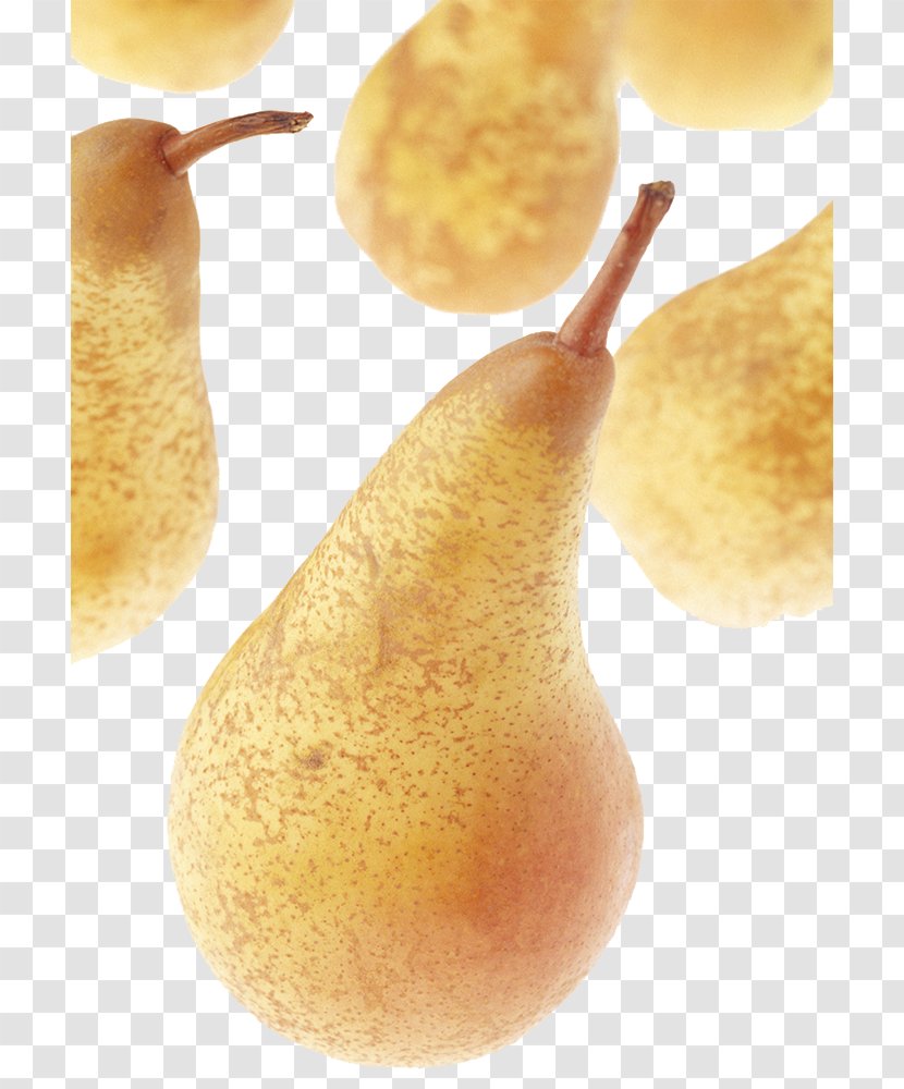 Pyrus Xd7 Bretschneideri Auglis Fruit Stock Photography - Snack - Long Neck Pear Creative Perspective Transparent PNG