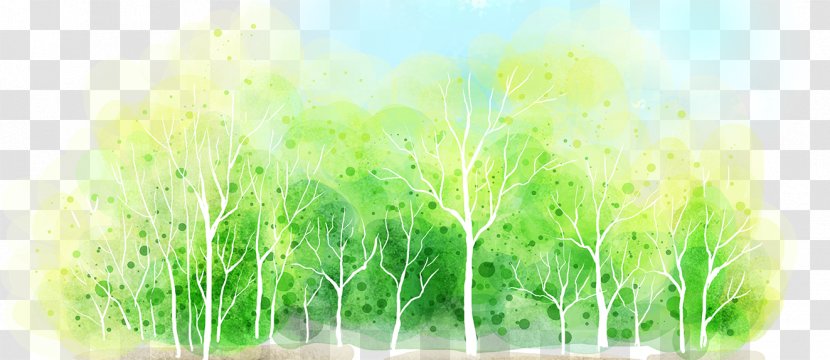 Tree - Wheatgrass - Energy Transparent PNG