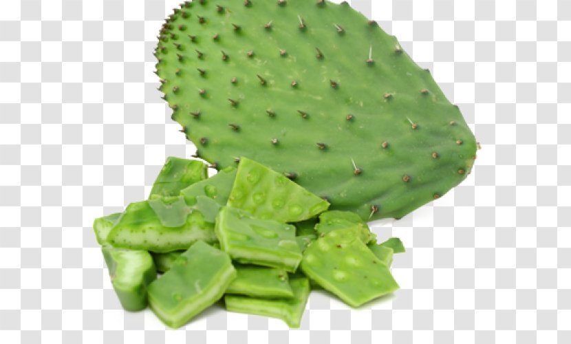 Nopalito Mexican Cuisine Food Barbary Fig - Cactus - Nopal Pear Transparent PNG