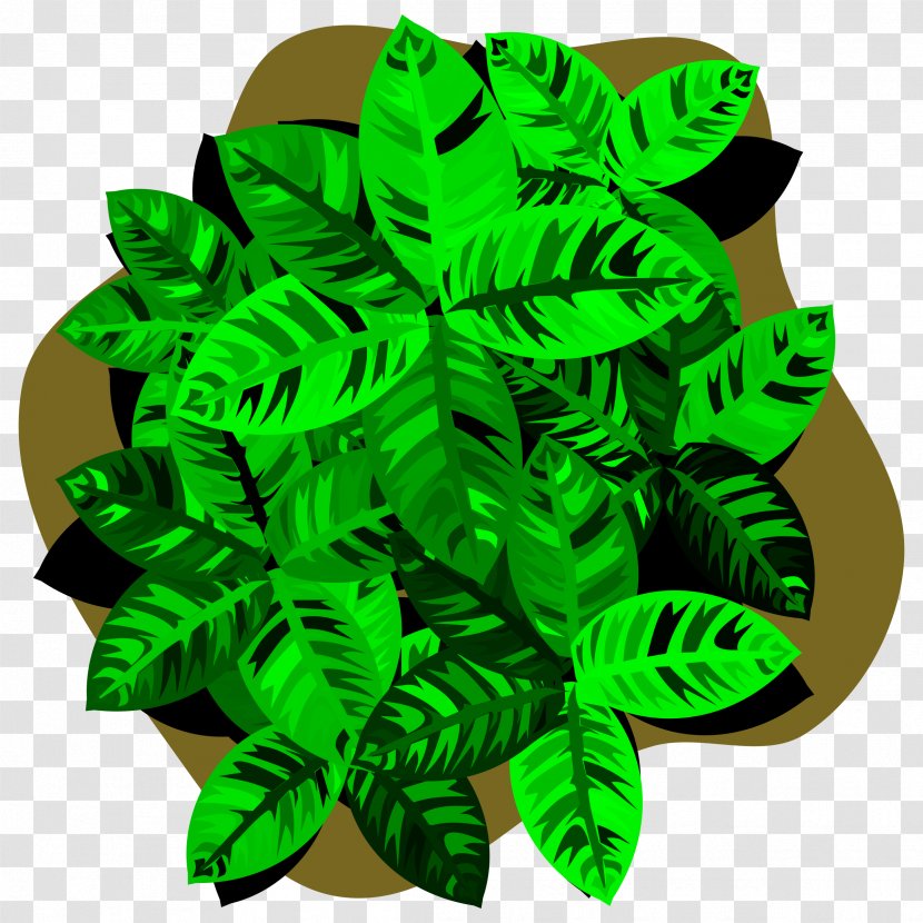 Organism Leaf Plant Tree - Green - 4 Clover Transparent PNG