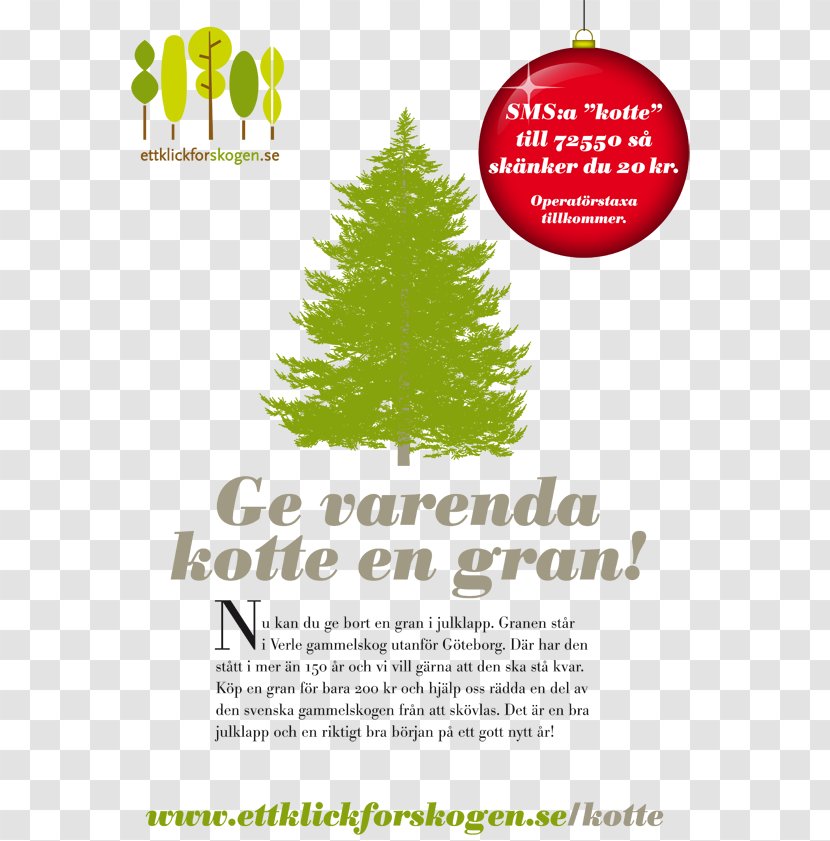 Minnesota River Builders Association Christmas Tree Earley Center For Performing Arts Keyword Tool Transparent PNG