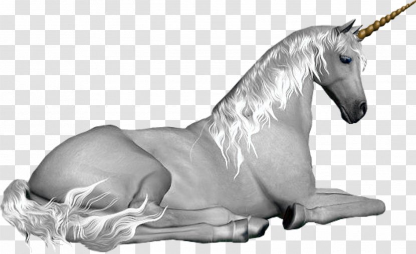 Unicorn Mythology Fairy Pegasus Legendary Creature - Bouc Transparent PNG