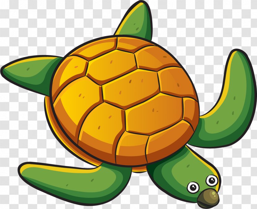 Sea Turtle Marine Biology - Tortoise Transparent PNG