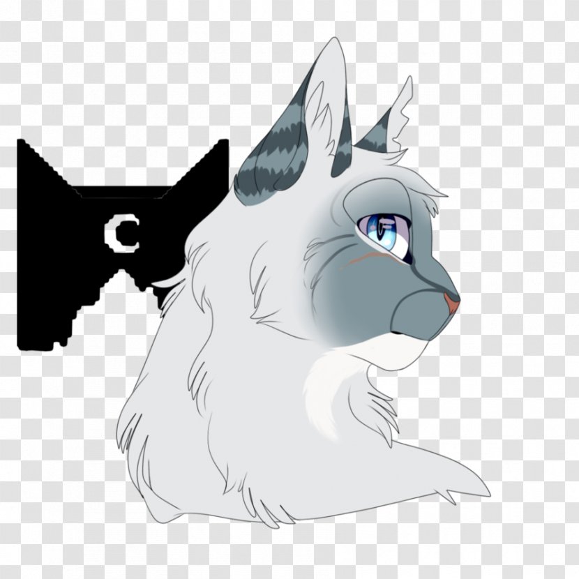 Whiskers Kitten Cat Canidae Dog - Head Transparent PNG