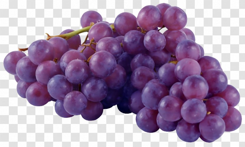 Common Grape Vine Fruit Orange - Food Transparent PNG