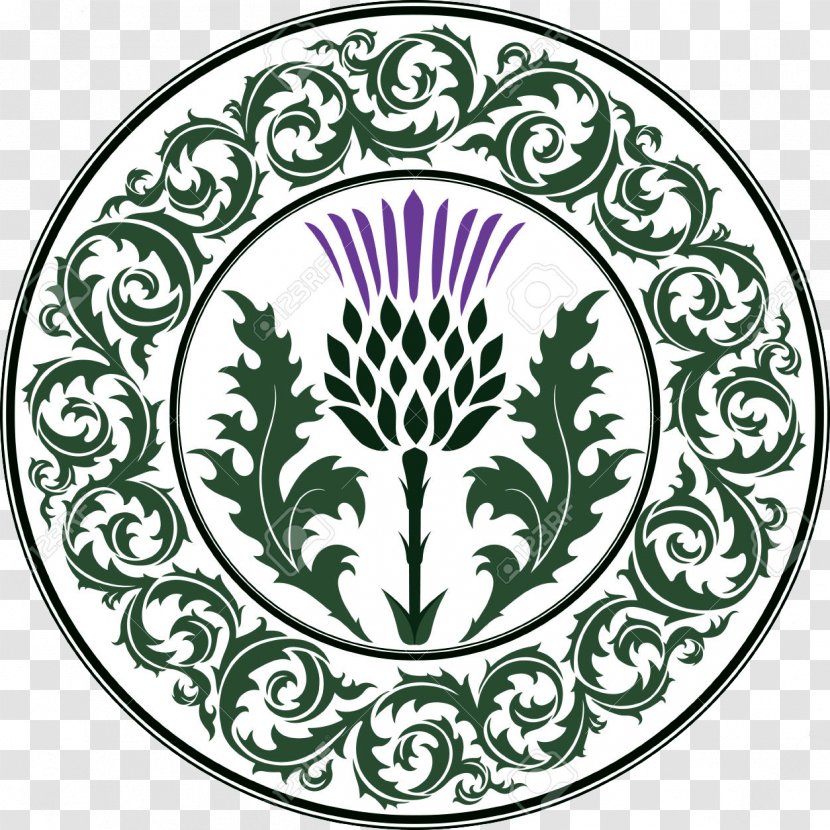 National Symbols Of Scotland Thistle Clip Art - Plant - Lallybroch Transparent PNG