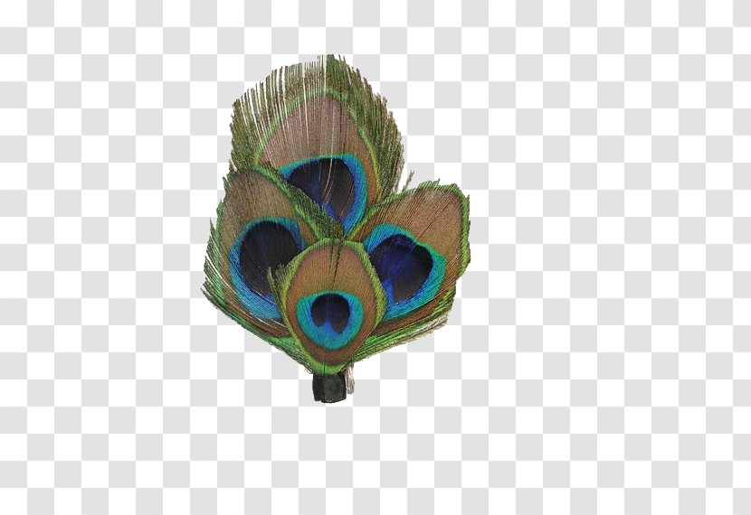 Feather Peafowl Wedding - Idea - Peacock Feathers Fan Transparent PNG