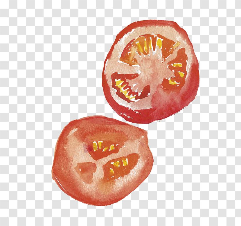 Drawing Watercolor Painting Art Illustration - Citrus - Tomato Transparent PNG