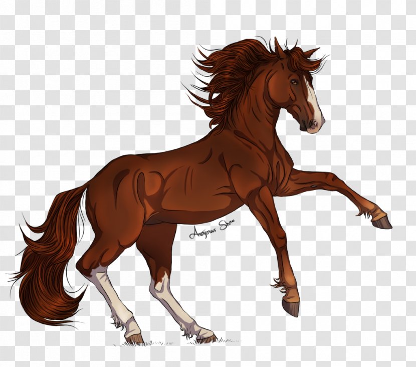 Mane Mustang Foal Stallion Colt - Sorrel Transparent PNG