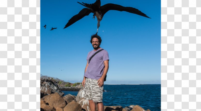 North Seymour Island Galápagos Islands Caribbean Tourism - Fishing - Geological Phenomenon Transparent PNG