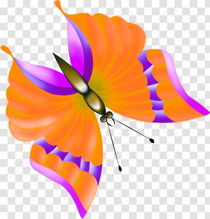 Butterfly Drawing Photography Clip Art - Painter - Mahavir Transparent PNG