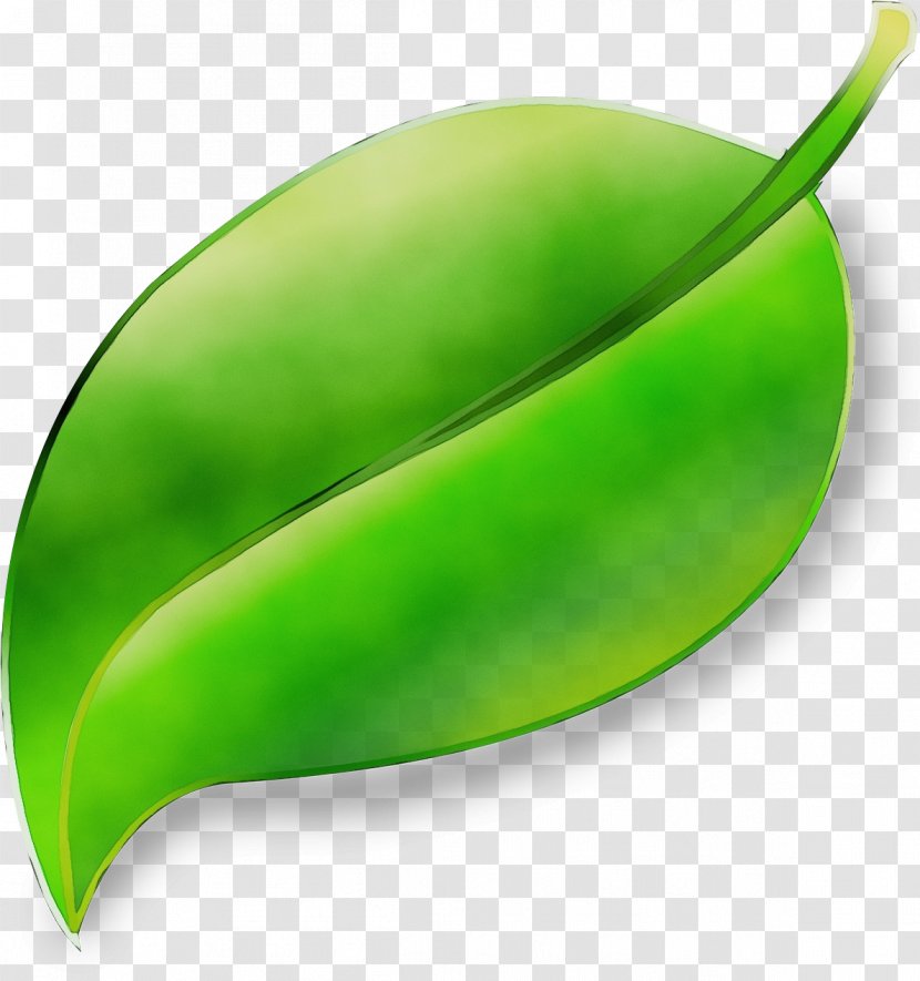 Green Leaf Plant Legume Vegetable - Pea Fruit Transparent PNG