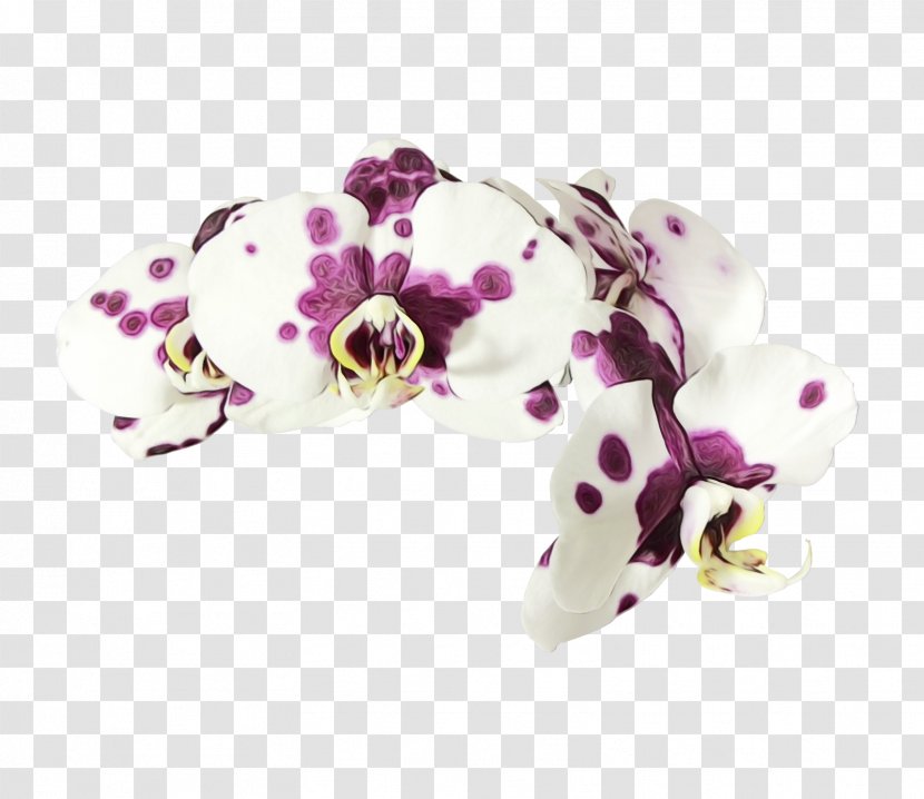Violet Fashion Accessory Jewellery Flower Moth Orchid - Wet Ink - Gemstone Hair Transparent PNG