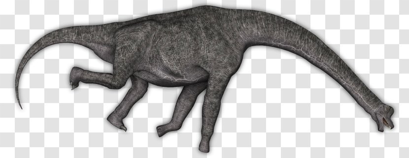Canidae Dog Dinosaur White Tail - Carnivoran Transparent PNG