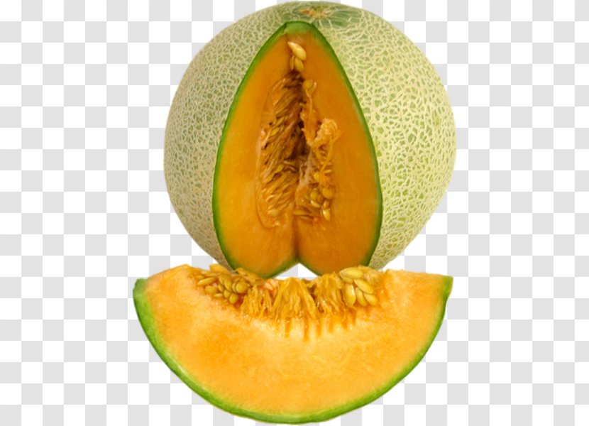 Honeydew Cantaloupe Galia Melon Canary - Watermelon - Gourd Fruit Transparent PNG