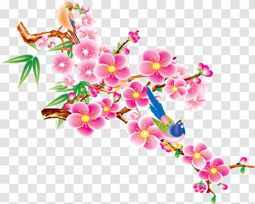 New Year Branch - Spring - Moth Orchid Artificial Flower Transparent PNG