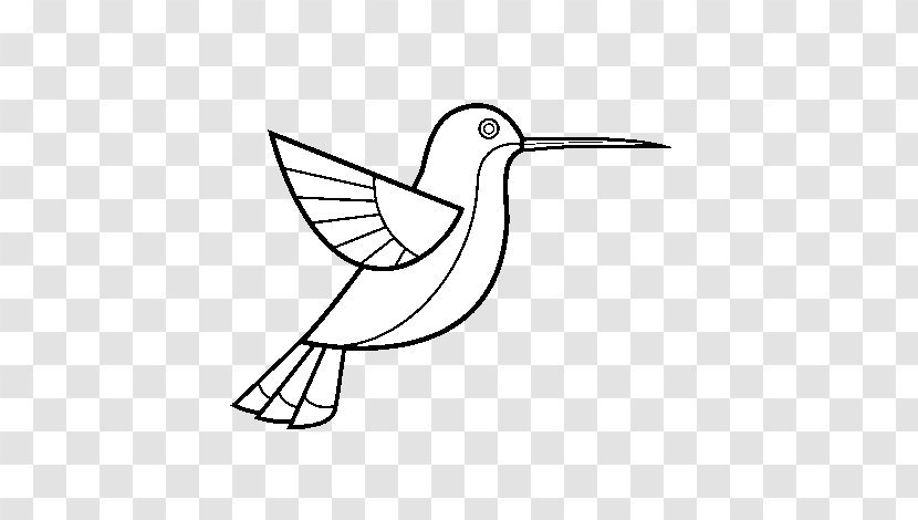 Hummingbird Drawing Coloring Book - Wing - Bird Transparent PNG